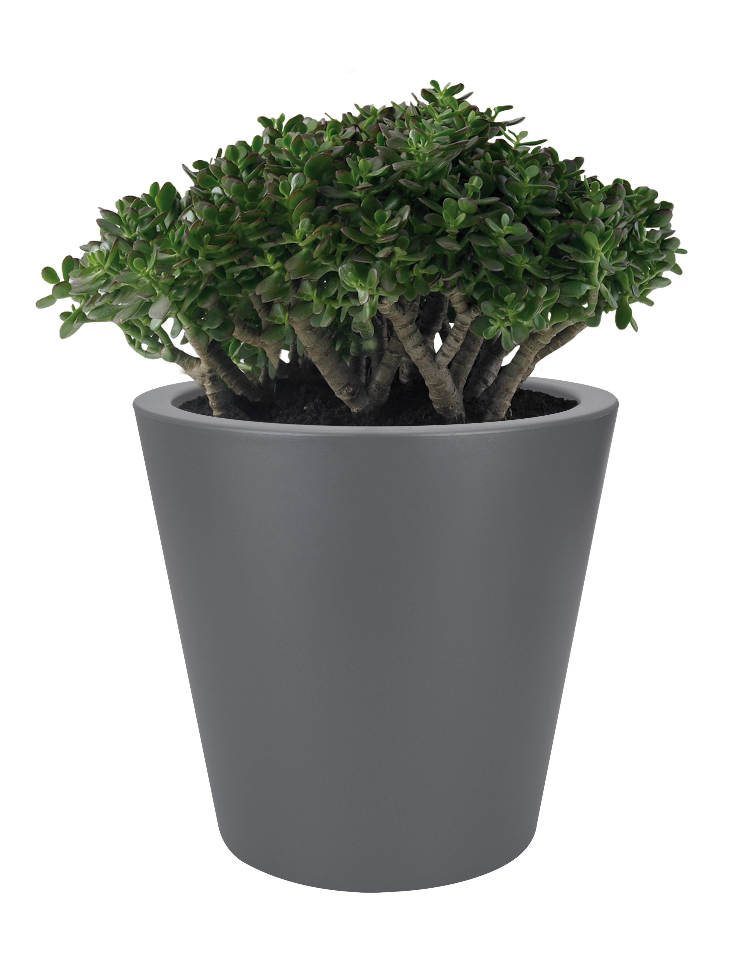elho pure straight round 50cm anthrazit