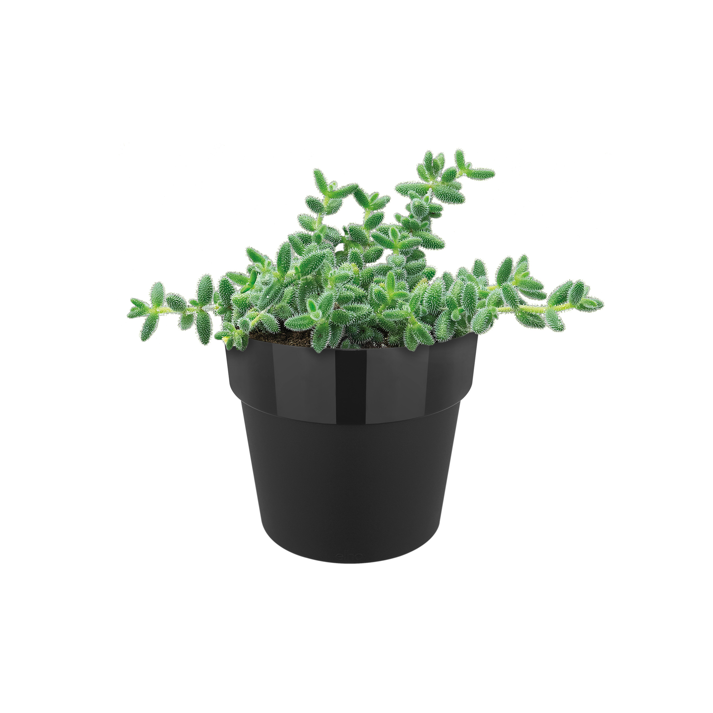 elho b.for original rund Rollen 35cm, living black