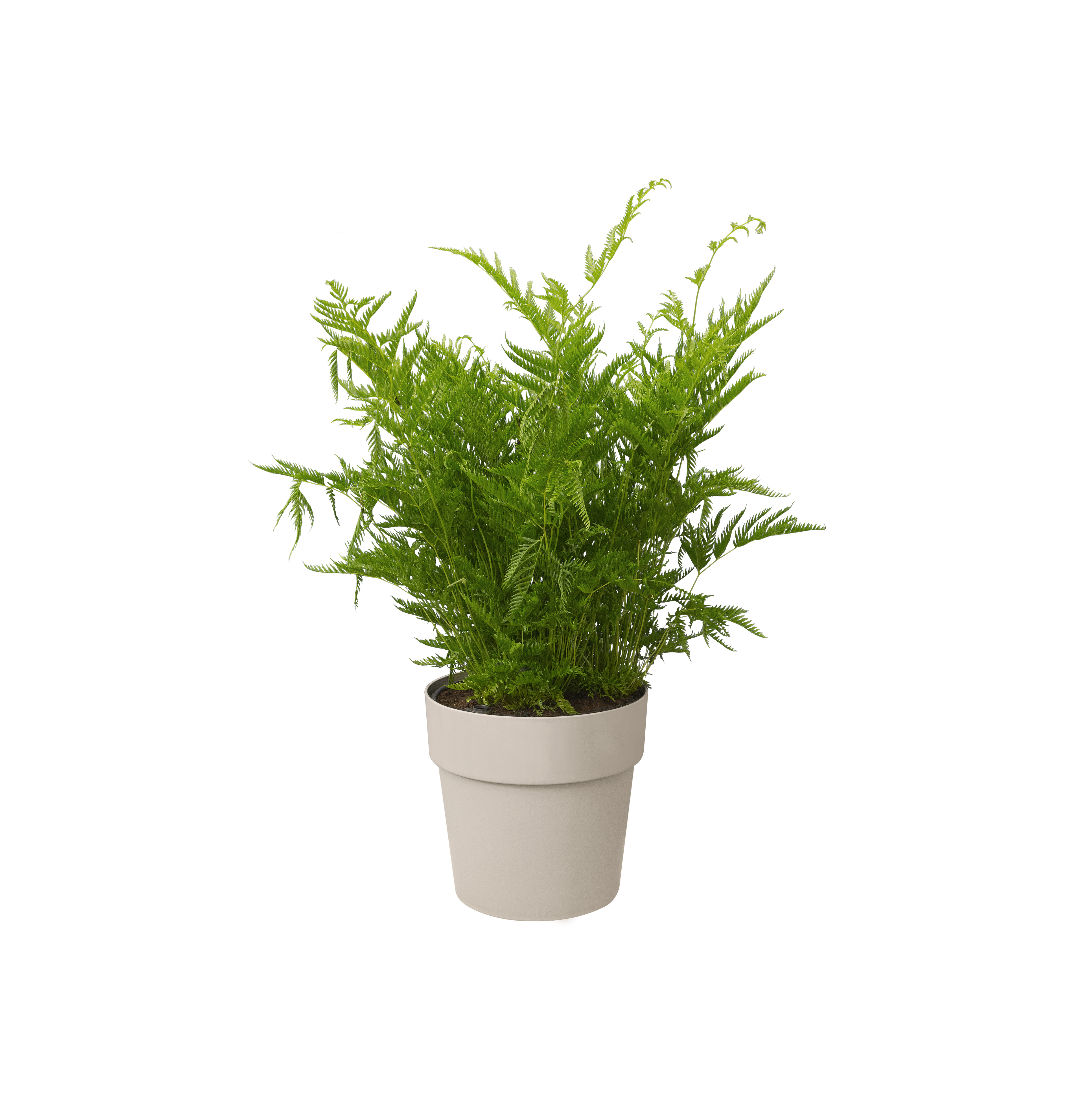 elho b.for original rund 30cm, warm grey