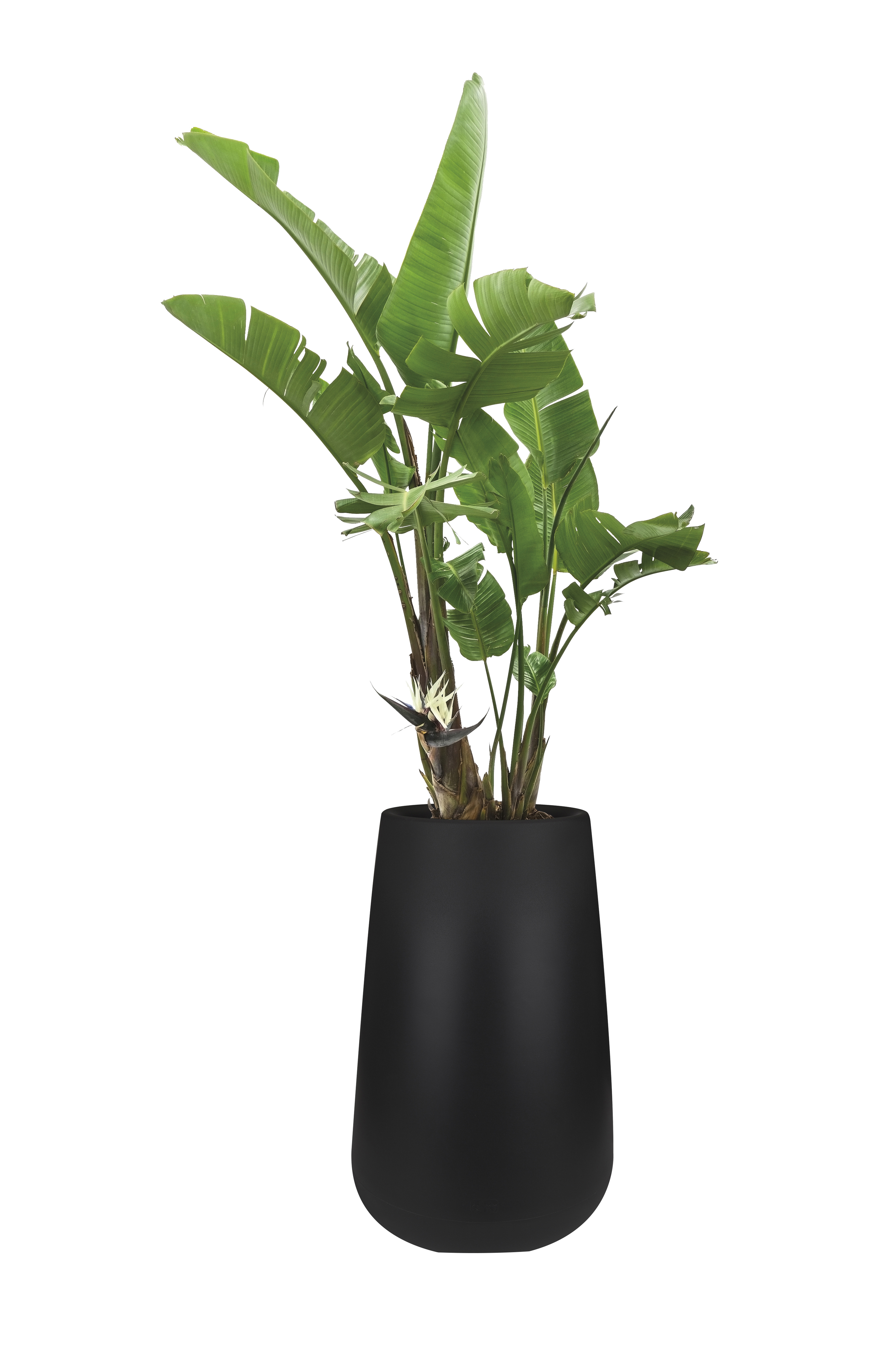 elho pure cone high 45 schwarz