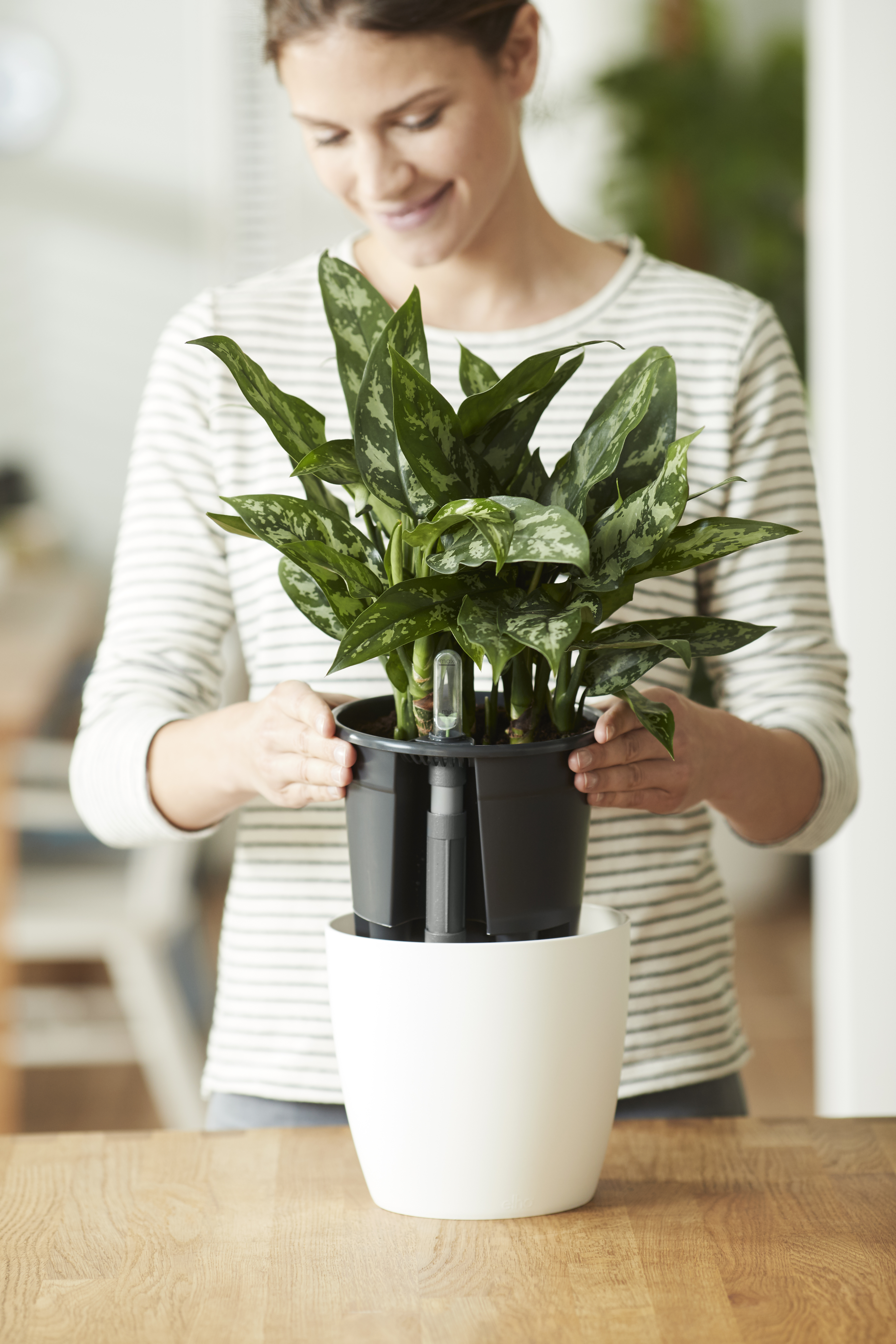 elho Selbstbewässerungssystem 43cm, living black