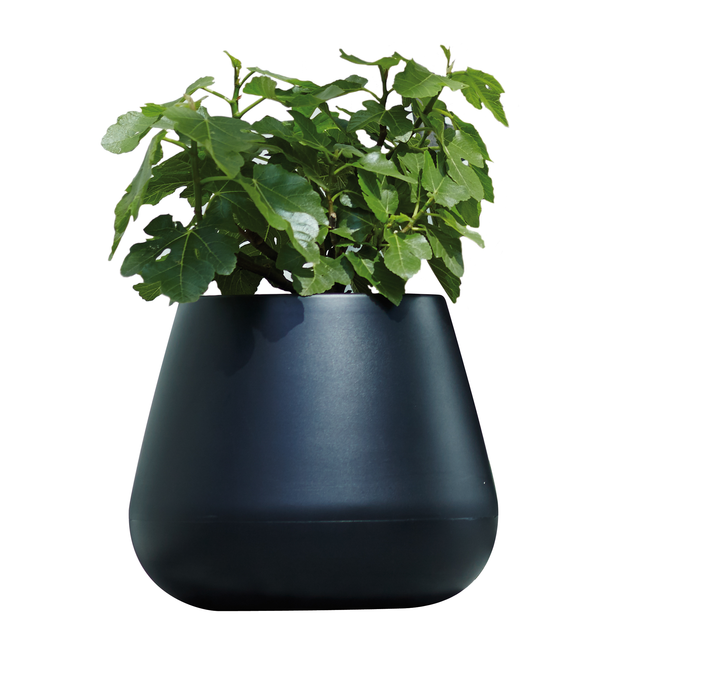 elho pure cone 45 schwarz
